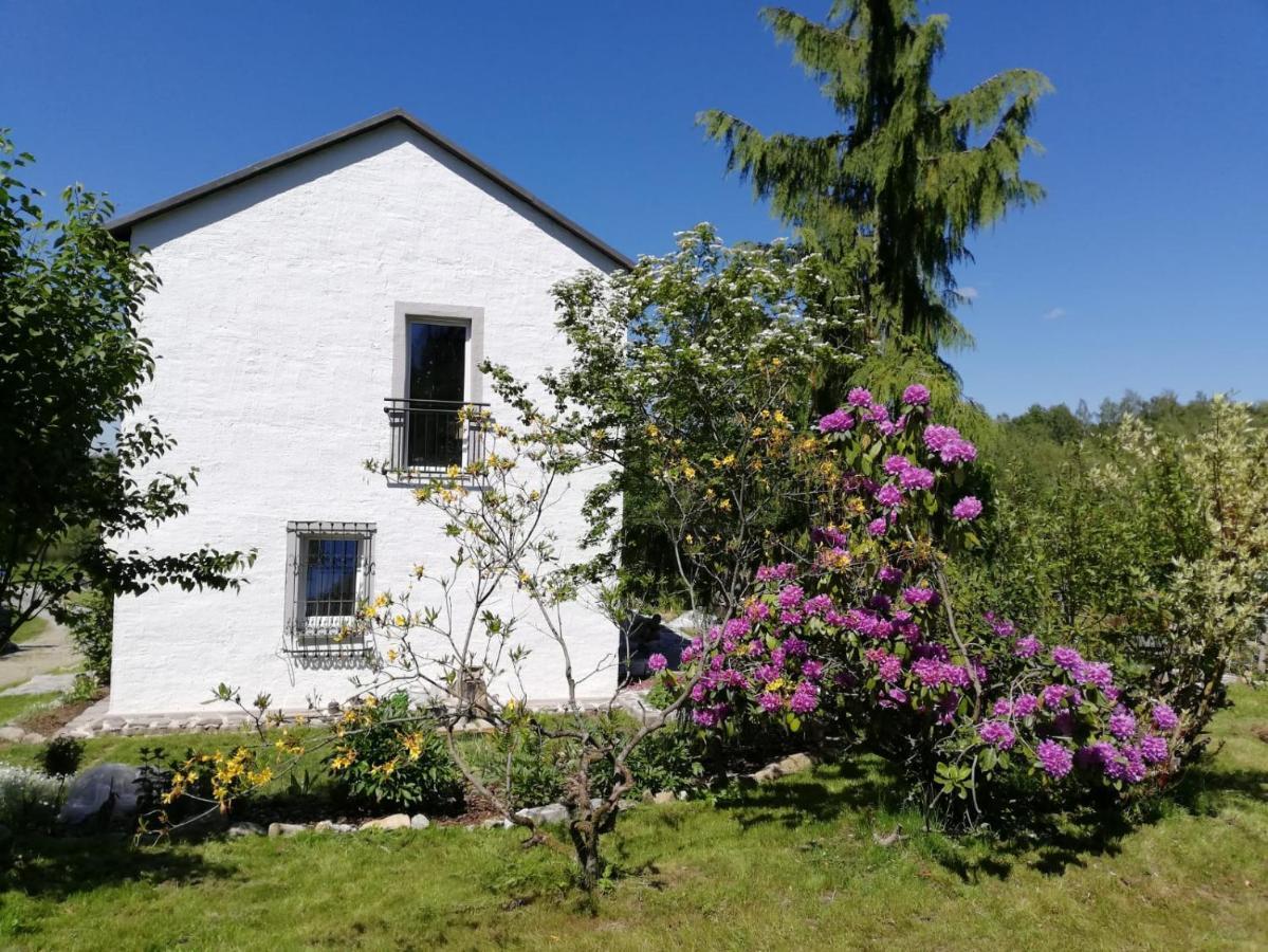 Ferienwohnung Fahrenbach-Alm Tröstau Exterior foto