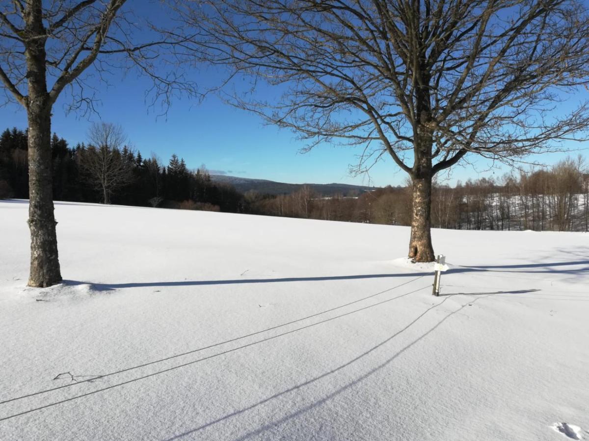 Ferienwohnung Fahrenbach-Alm Tröstau Exterior foto